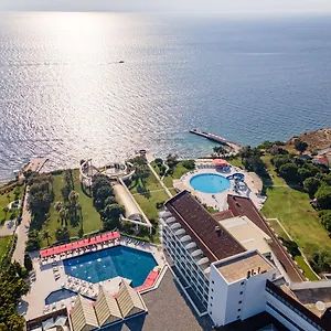 book here